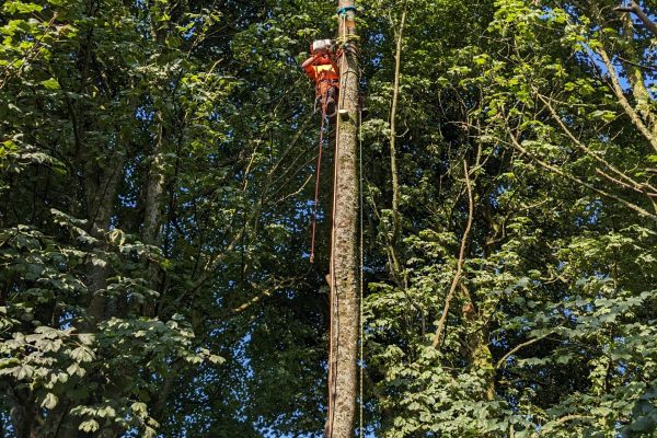 PXL_20230907_095351138