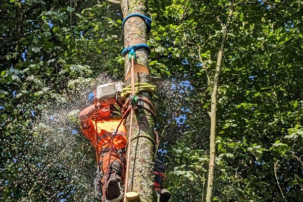 PXL_20230907_095358321