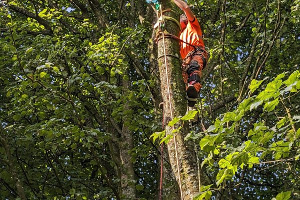 PXL_20230907_100852247