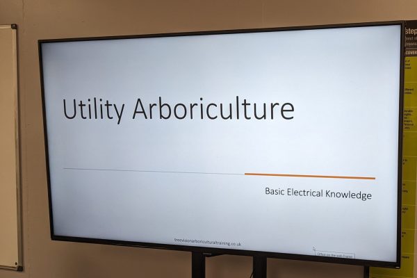 PXL_20230914_134658431~3