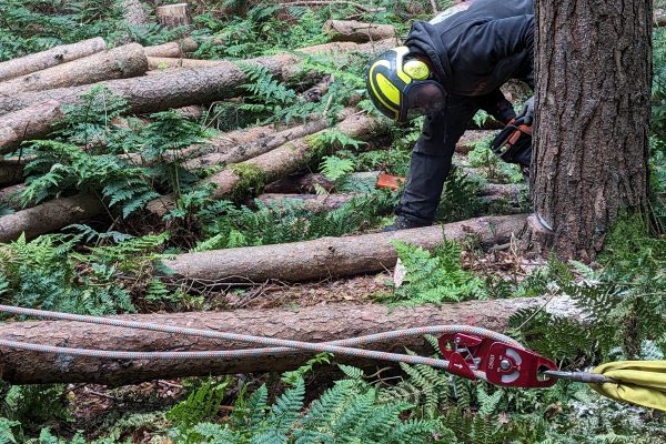 PXL_20230919_123032421