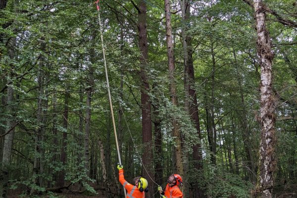 PXL_20230921_101401644