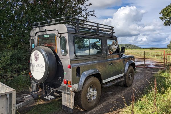 PXL_20230922_143056346