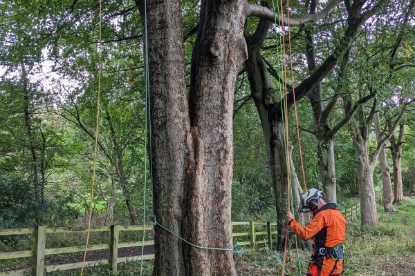 PXL_20231013_120017277