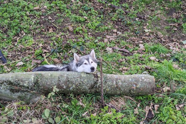 PXL_20231018_110147514