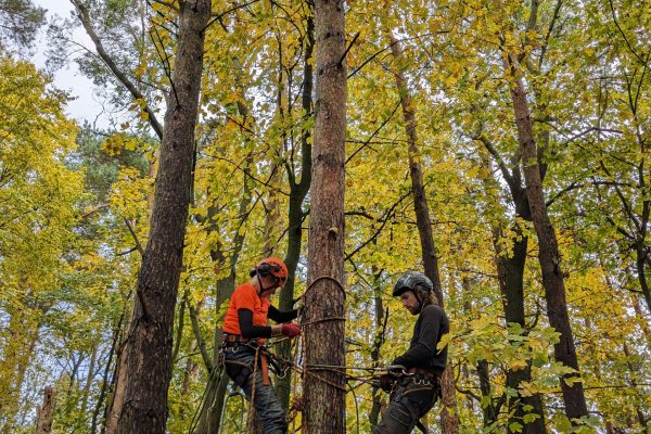 PXL_20231030_125903841.MP