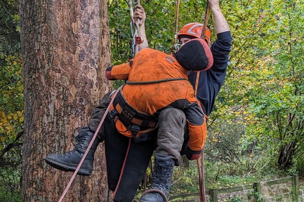 PXL_20231101_123112377.MP