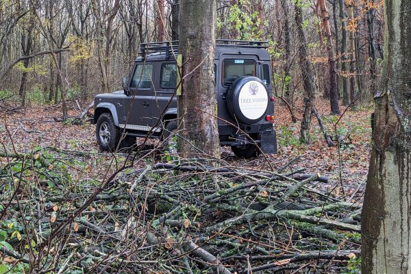 PXL_20231127_133026386