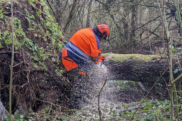 PXL_20231214_101843629