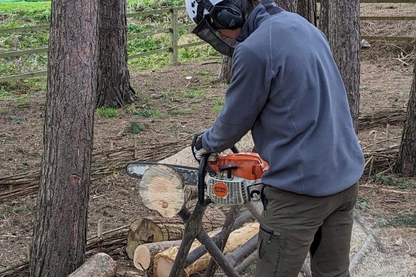 PXL_20231220_100545570