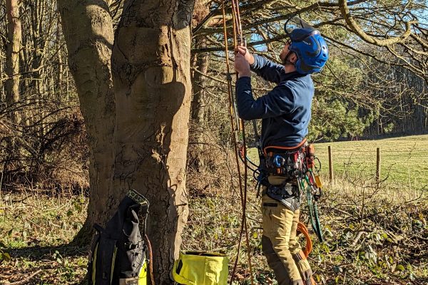 PXL_20240115_114813559