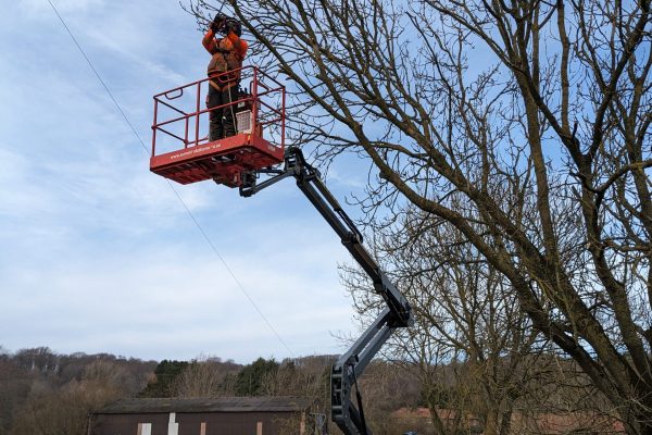 PXL_20240124_112209939