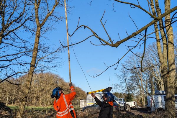 PXL_20240126_103113212