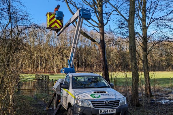 PXL_20240130_102920572