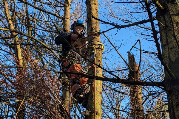 PXL_20240130_130855397