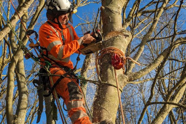 PXL_20240201_100704761